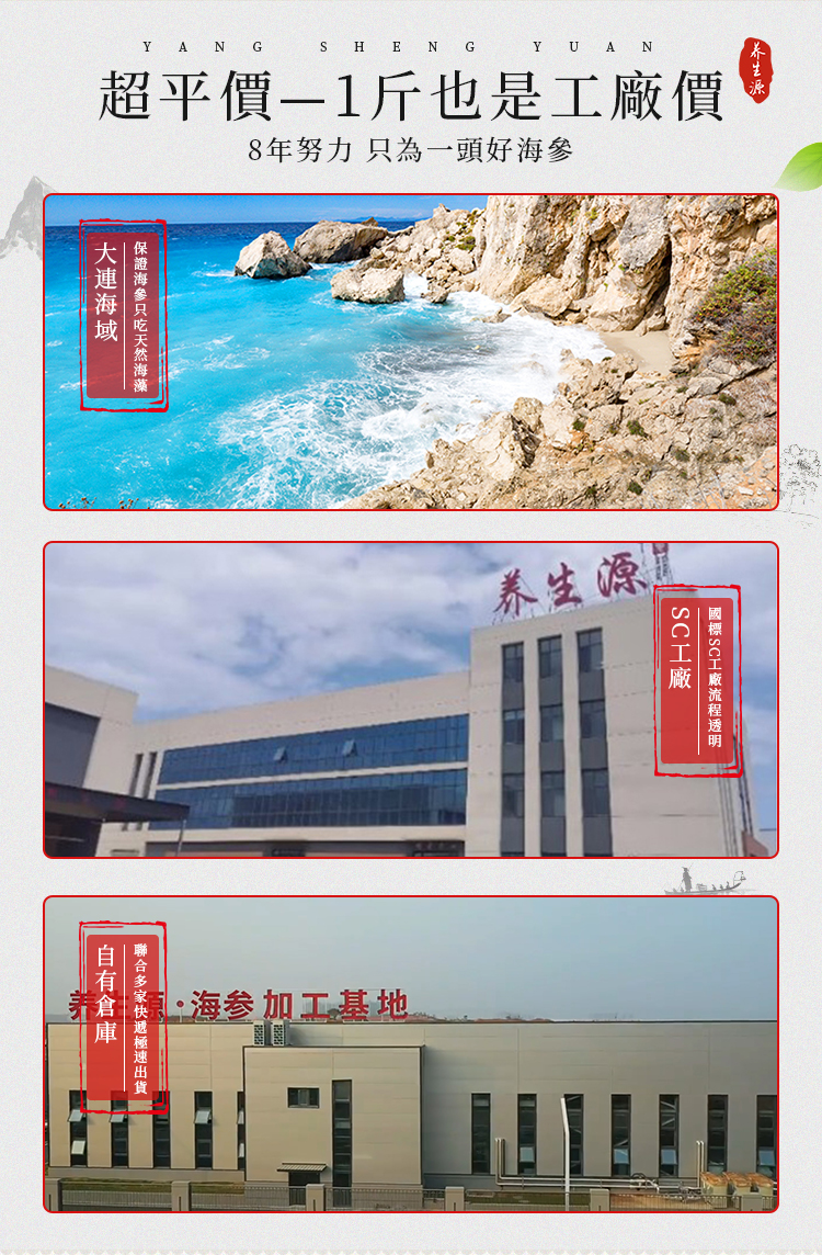 海参7